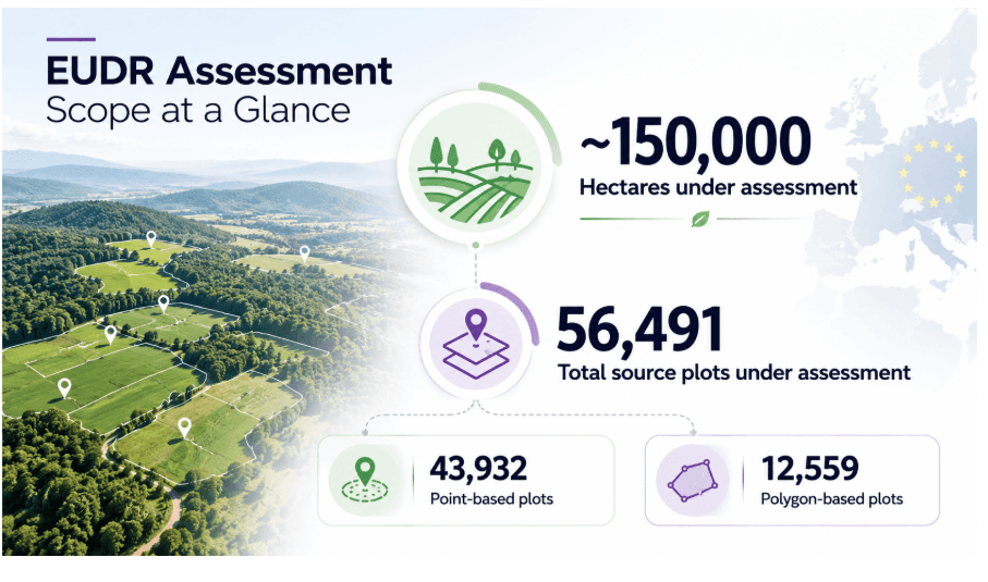 Apollo Tyres: EUDR Natural Rubber Traceability